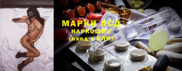 PSILOCYBIN Волосово