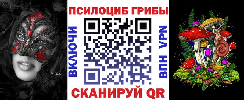 как найти закладки  Гаврилов Посад  Галлюциногенные грибы GOLDEN TEACHER 